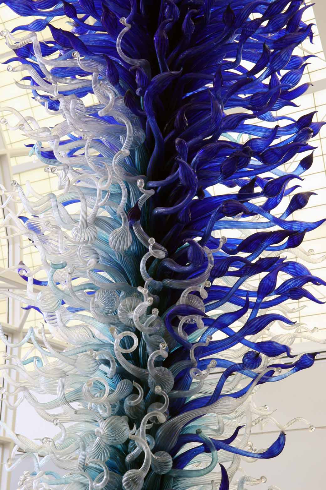 Chihuly chandelier